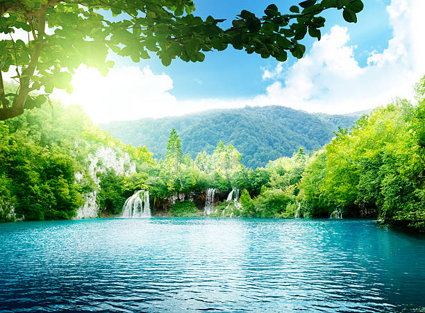 lake in deep forest lake in deep forest green lakes stock pictures, royalty-free photos & images