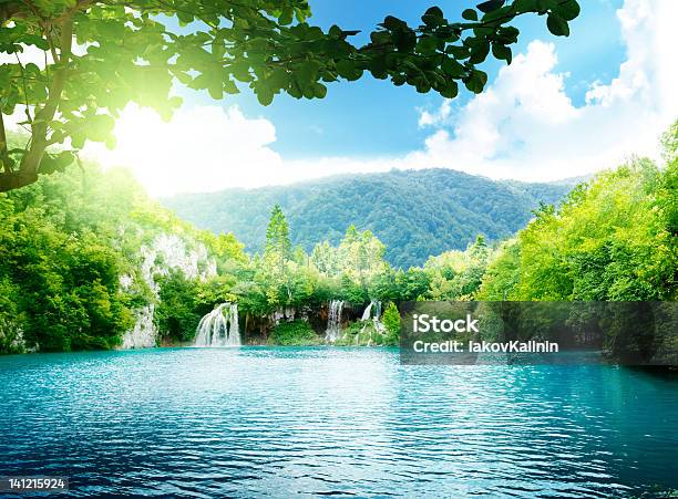 Lake In Deep Forest Stock Photo - Download Image Now - Lake, Waterfall, Spring - Flowing Water