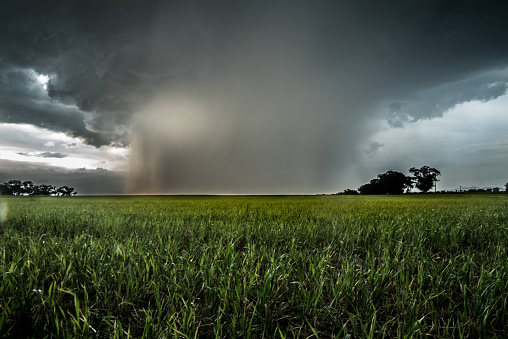 A cloud burst storm over a field of barley