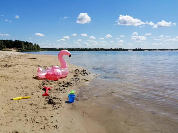 na margem do lago estão brinquedos decalque para o bebê e flamingos de círculo inflável. na praia há brinquedos infantis e um círculo inflável em forma de flamingos. - inner tube swimming lake water - fotografias e filmes do acervo