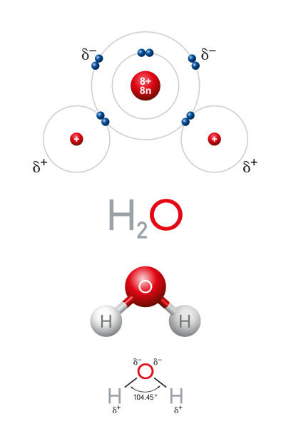 ilustraciones, imágenes clip art, dibujos animados e iconos de stock de h2o, molécula de agua, modelo planetario, fórmula química y estructural - hydrogen bond