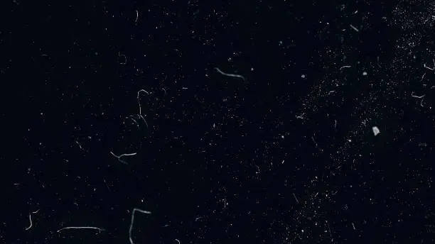 Slow motion macro shot of dust particles over black background. White dust particles moving slowly in space on black background. Abstract particle moving background. Slow motion macro dust particles explosive flow over black background.