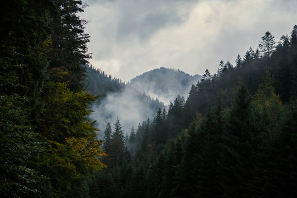 istock autumn overcast carpathian mountains 1412164820