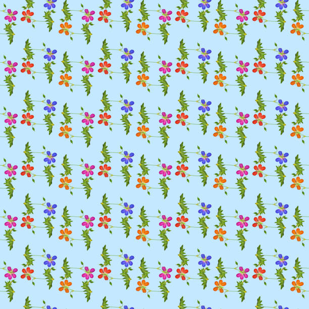 Geranium, pelargonium. Illustration, texture of flowers. Seamless pattern for continuous replication. Floral background, photo collage for textile, cotton fabric. For wallpaper, covers, print.