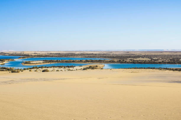 istock Magic lake - Fayoum Desert - Egypt 1412171583