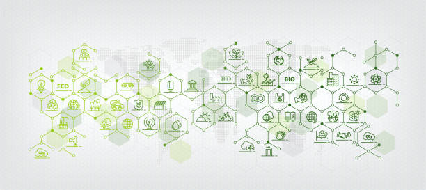 Natural Environment Line Icons Collection, ESG Concept, Zero Net Environment, Society and Governance Banner design. Line icon set, geometric grid Natural Environment Line Icons Collection, ESG Concept, Zero Net Environment, Society and Governance Banner design. Line icon set, geometric grid agro stock illustrations