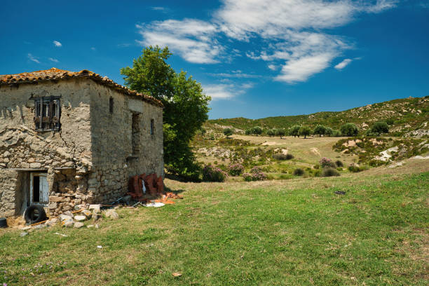 Old stonehouse and olive trees, rural landscape in Greece
