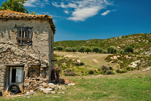 Old stonehouse \nand olive trees, rural landscape in Greece