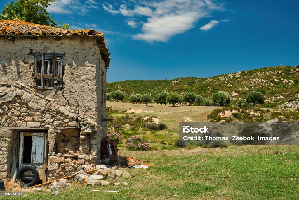 Old stonehouse and olive trees, rural landscape in Greece Old stonehouse 
and olive trees, rural landscape in Greece Agricultural Field Stock Photo
