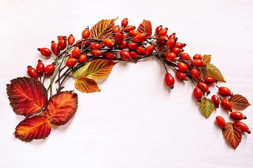 handmade autumn wreath of yellow red raspberry leaves, rose hips on light background. view from above. DIY craft
