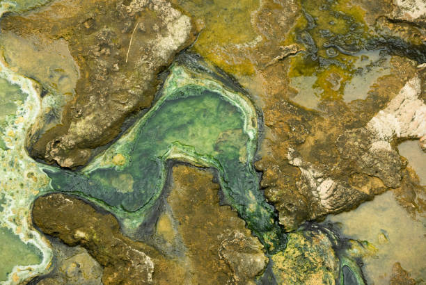 istock Stone eroded by hot mineral spring water with green sediment 1412176495