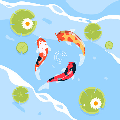 Flat design koi fish illustration