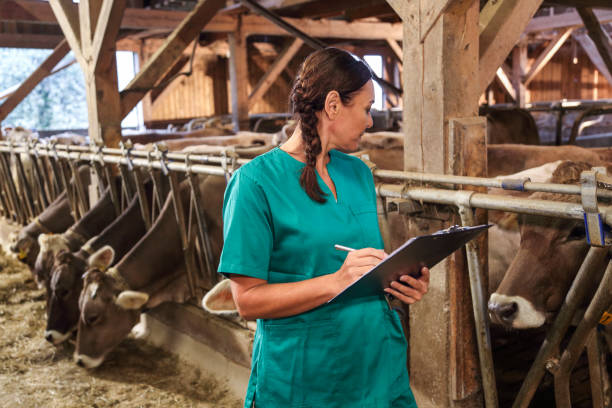 istock Female veterinarian with note pad in barn 1412177880