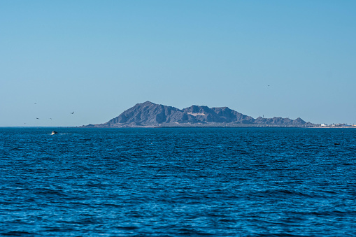 Una vista panorámica de Puerto Peñasco, México photo