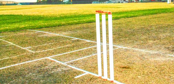 istock Cricket Pitch with stumps and bails 1412179339