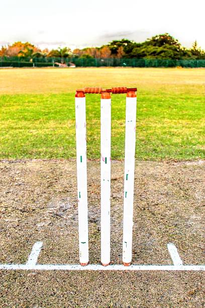 istock Cricket stumps and bails on the turf 1412179345