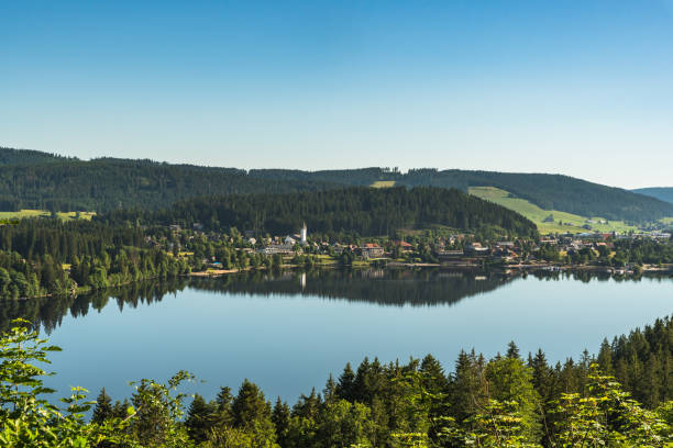 titisee in the morning light, titisee-neustadt, black forest, baden-wurttemberg - black forest forest sky blue imagens e fotografias de stock