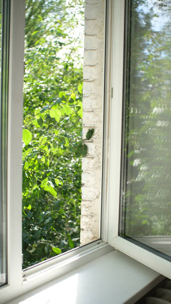 istock View from the window on the green trees. 1412180038