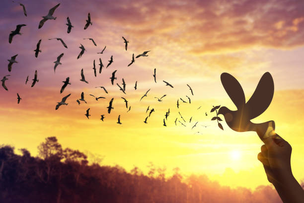 istock silhouette hand holding dove of peace and birds flying sunset background 1412180708