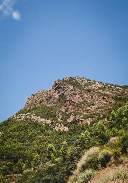 istock Natural park in Spain 1412181084