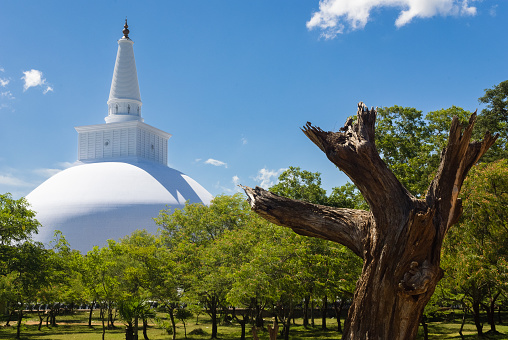 Ruwanwelisaya maha stupa, buddhist monument, Anuradhapura, Sri Lanka