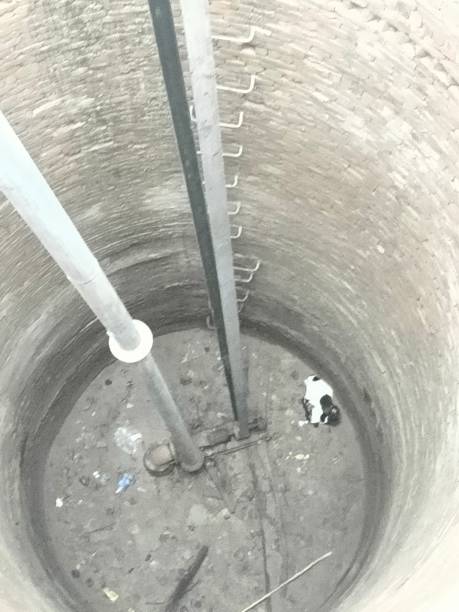 istock Goat baby fell in well 1412185546