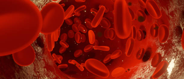istock Red blood cells moving in blood vessel panorama style. 3D rendering. 1412185886