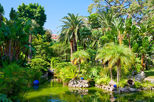 Beautiful exotic garden in French Riviera, France