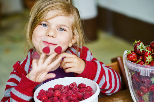 Portrait of happy little preschool girl eating healthy strawberries and raspberries. Smiling child with ripe berries from garden or field. Healthy food for children, kids