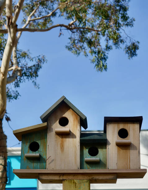 istock Multi colored Birdhouse village on a post in the garden 1412190657