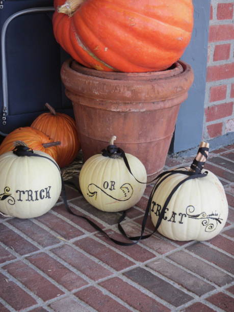 istock Assorted pumpkins and Halloween decorations 1412191531