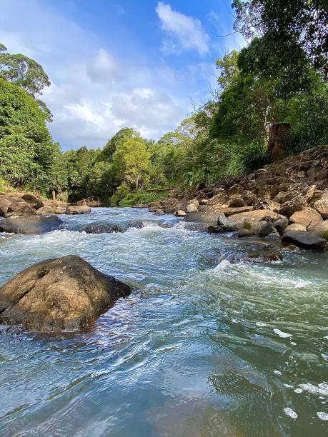흐르는 강 스트림 - rainforest australia river waterfall 뉴스 사진 이미지