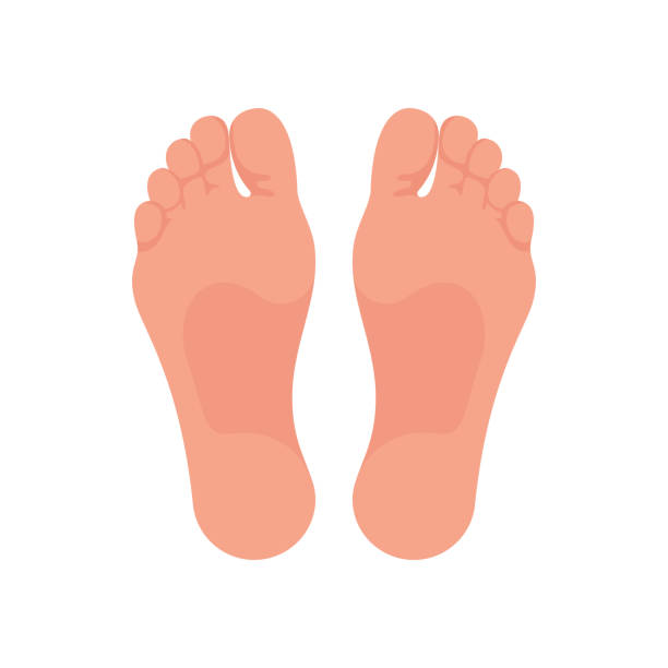 足の痛み。男性または女性の足の足。足病のためのテンプレート。 - massaging human foot reflexology foot massage点のイラスト素材／クリップアート素材／マンガ素材／アイコン素材