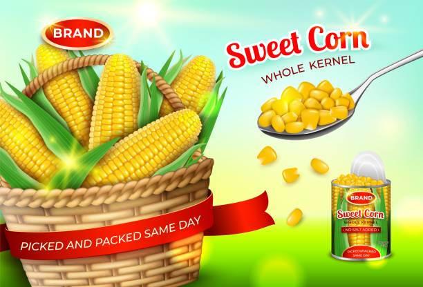 Realistic Detailed 3d Organic Canned Corn Ads Banner Concept Poster Card. Vector Realistic Detailed 3d Organic Canned Maize and Rattan Basket with Corn Cob Ads Banner Concept Poster Card. Vector illustration canned corn nutrition stock illustrations