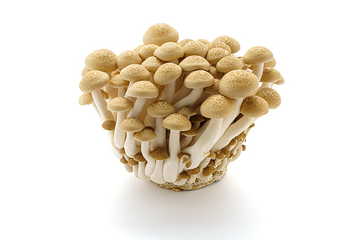 Shimeji mushroom on wooden table