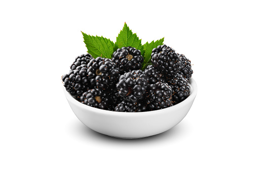Close up bowl of blackberries isolated on white background low angle studio shot with full depth of field