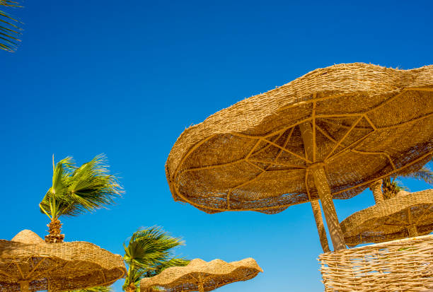 istock beautiful summer background summer mood 1412203406