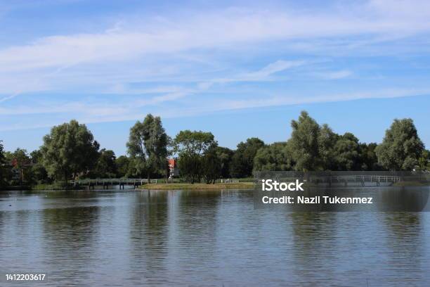 Beautiful Lake Landscape With Bridges In The City Park Trees And Blue Sky Stock Photo - Download Image Now
