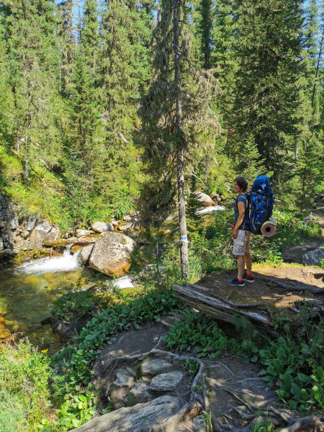 istock woman walking on a summer hiking trail 1412206362