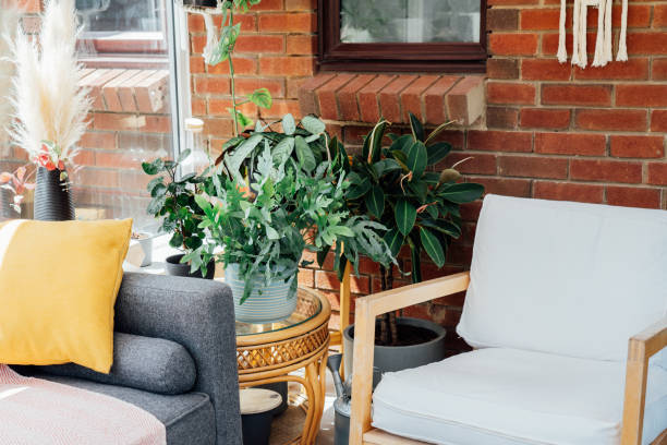 istock Cozy, light conservatory interior design with gray sofa decorated with bright textile cover and cushions and many green house plants. Hygge home interior design. Biophilic lifestyle. Selective focus. 1412206843