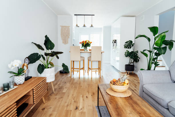 白いキッチン付きのオープンスペースのリビングルームのスタイリッシュなスカンジナビアのインテリア。モダンな家具、木製の寄木細工の床、多くの緑の植物。ホームインテリアデザイン� - vehicle interior green sofa indoors ストックフォトと画像