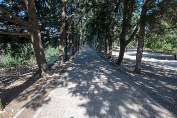 istock Main walk path in Filerimos monastery, Rhodes 1412210497