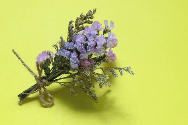 istock dried flower bouquet on yellow background 1412210906
