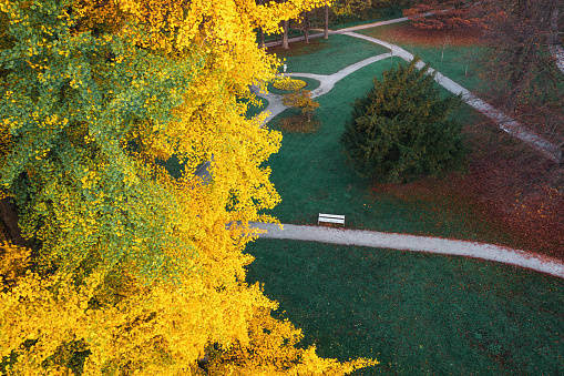 Aerial view on a public park in autumn colors.
