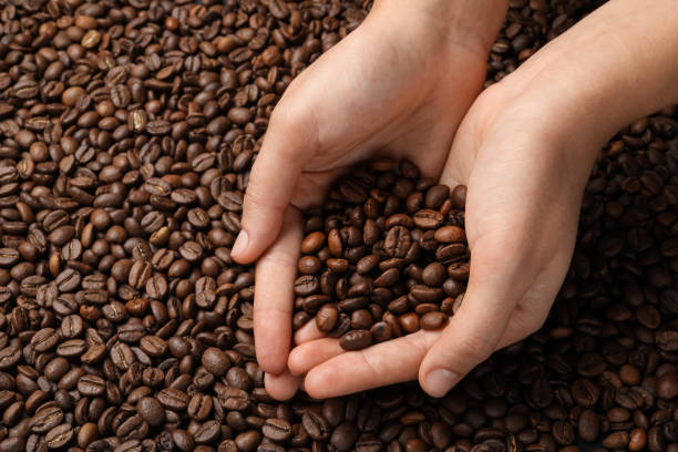 istock Woman with roasted coffee beans, closeup. Space for text 1412220236