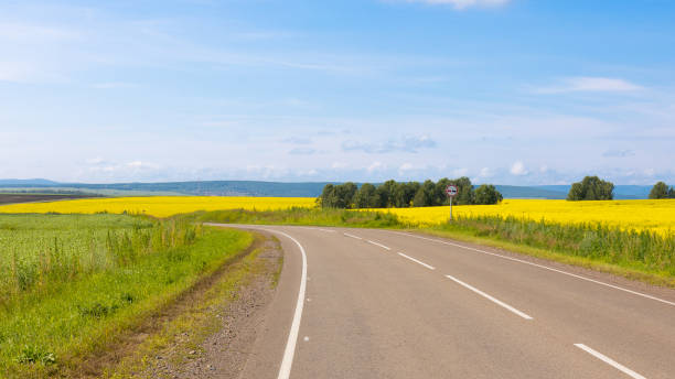 istock Road among flowering fields 1412227711