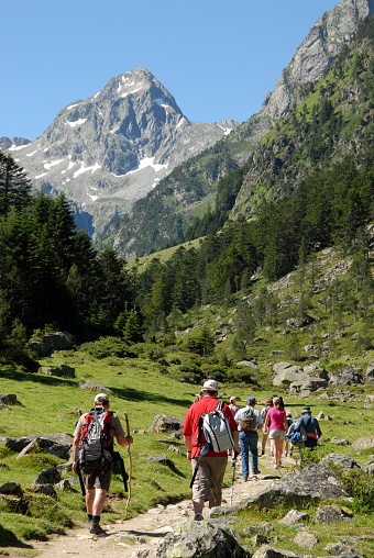 Pyrenees, France, July 23, 2008 : Group of hikers walking on a path in the French Pyrenees in summer