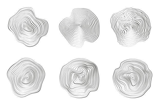 Free Stock Photo of Tree Rings | Download Free Images and Free ...
