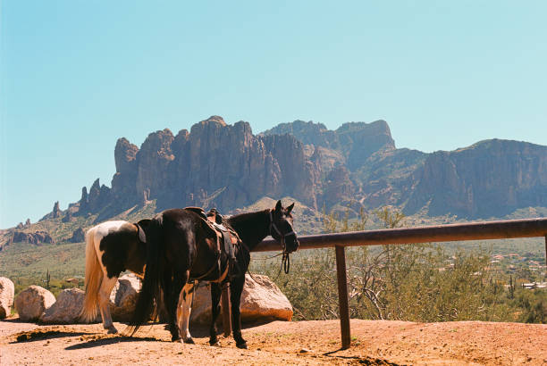 da superstition wilderness - hiking sonoran desert arizona desert - fotografias e filmes do acervo