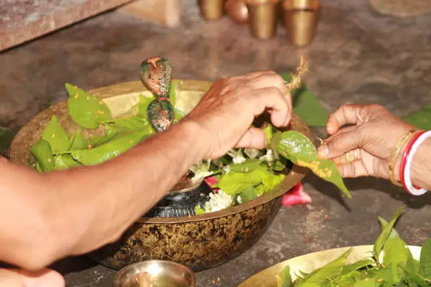 Photo of Hand of Hindu Devotees offering milk And Water to Shiv Lingam on occasion of Sawan Somwar Vrat, Kanwar Yatra,  Kavaḍ Yatra Or Kawad Yatra in India . Offering Flower and bael leafs to the Lord shiva .